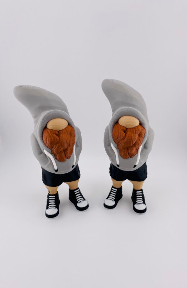 Bruh Gnome... Sup - Image 2