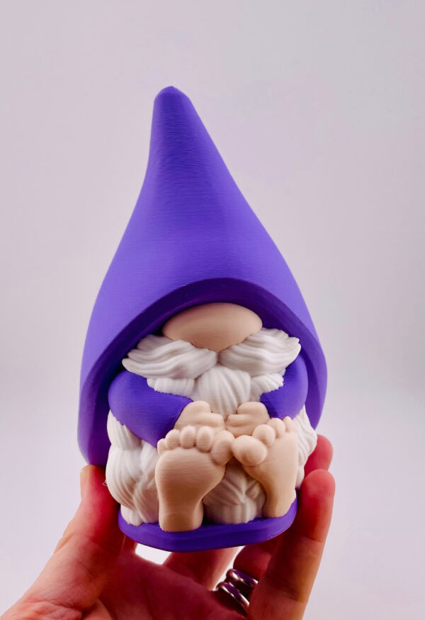 Shy Guy Gnome Set - Image 4
